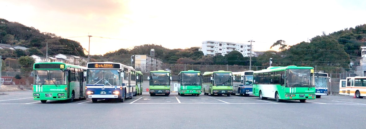 Picture of buses